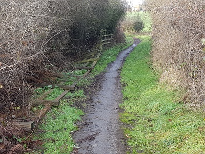 Photograph of Ridge 34
