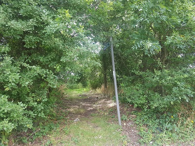 Photograph of Ridge 36