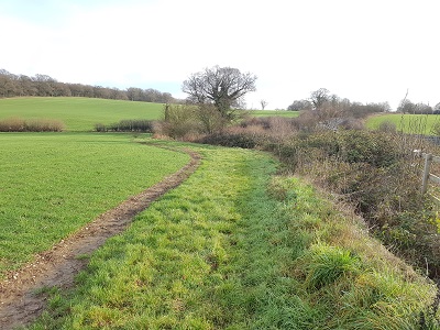 Photograph of Ridge 41