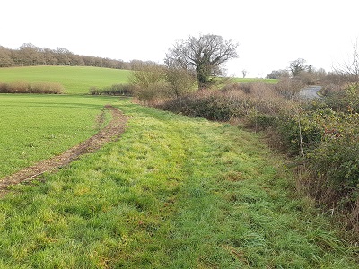 Photograph of Ridge 41