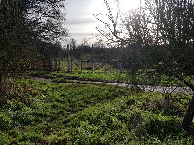 Photograph of Ridge 41