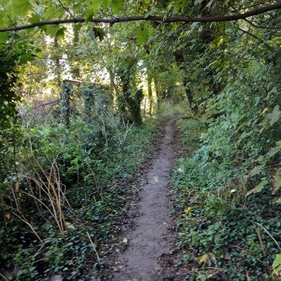 Royston 10 bridleway