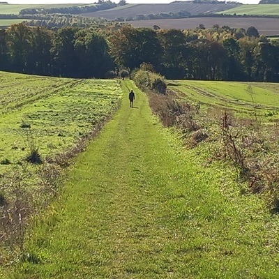 Royston 10 bridleway