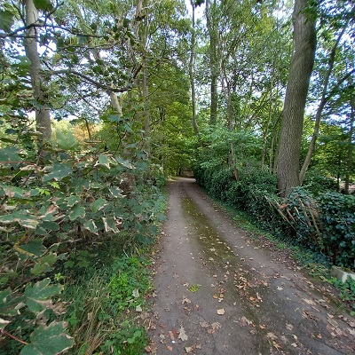 Photograph of Royston 12 bridleway