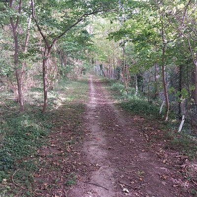 Photograph of Royston 12 bridleway