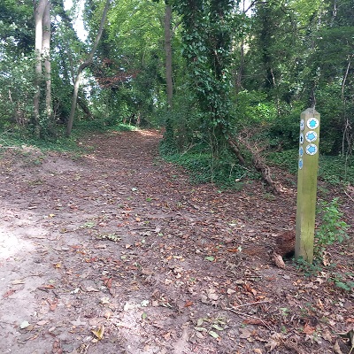 Photograph of Royston 12 bridleway