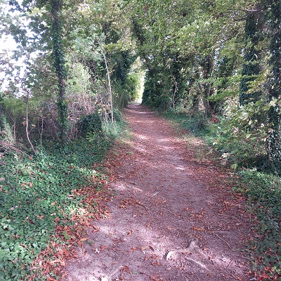 Photograph of Royston 12 bridleway