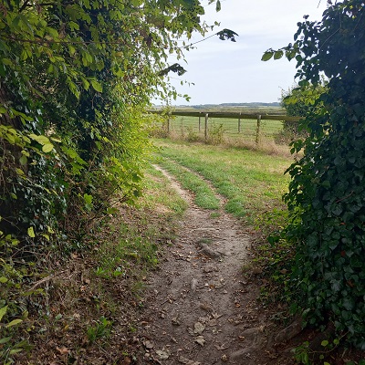 Photograph of Royston 12 bridleway