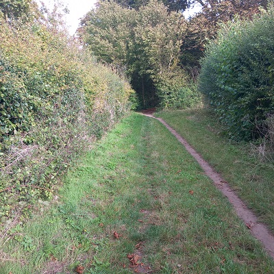 Photograph of Royston 12 bridleway