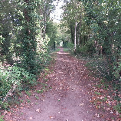 Photograph of Royston 12 bridleway