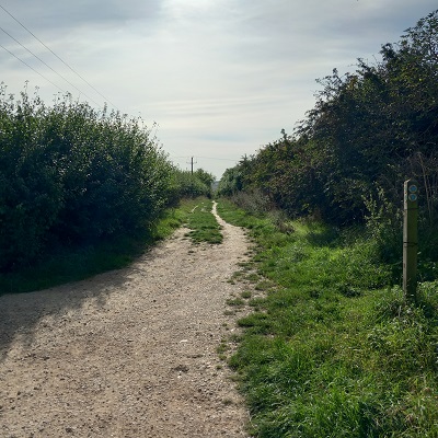 Photograph of Royston 13 and Therfield 12
