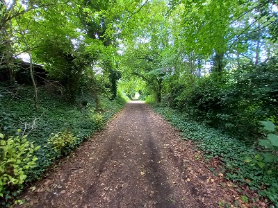 Photograph of Royston 13