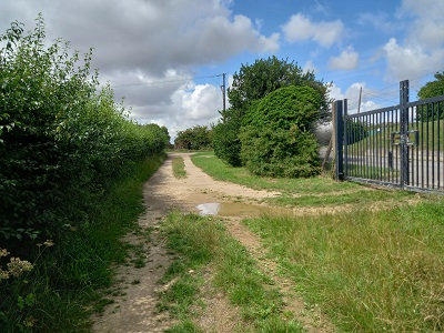 Photograph of Royston 13