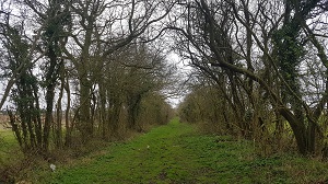 View south from Gannock Road