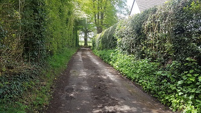 Sarratt 57