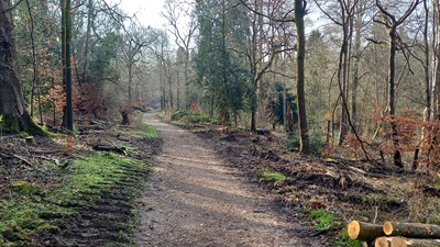 Photograph of Sarratt 79 bridleway