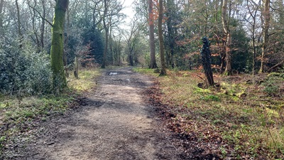 Photograph of Sarratt 79 bridleway