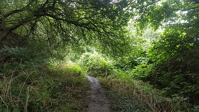 Sawbridgeworth 10