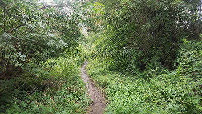 Sawbridgeworth 10