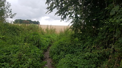 Sawbridgeworth 10