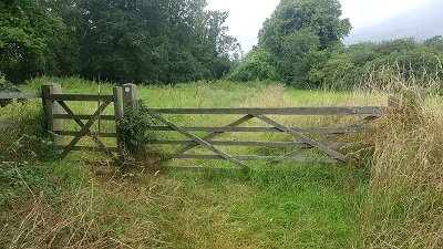Sawbridgeworth 11