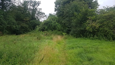 Sawbridgeworth 11