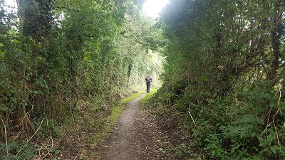 Sawbridgeworth 18