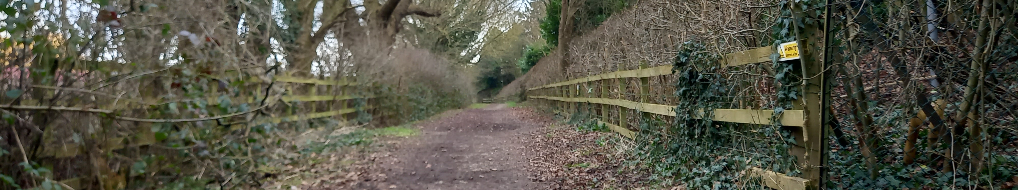 Image of Shenley 21 bridleway taken in 2025 showing path  with ditch to the left and fence and hedge to the right