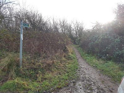Photograph of Metropolitan Common Land CL295