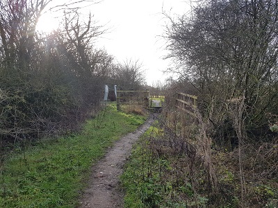 Photograph of Metropolitan Common Land CL295