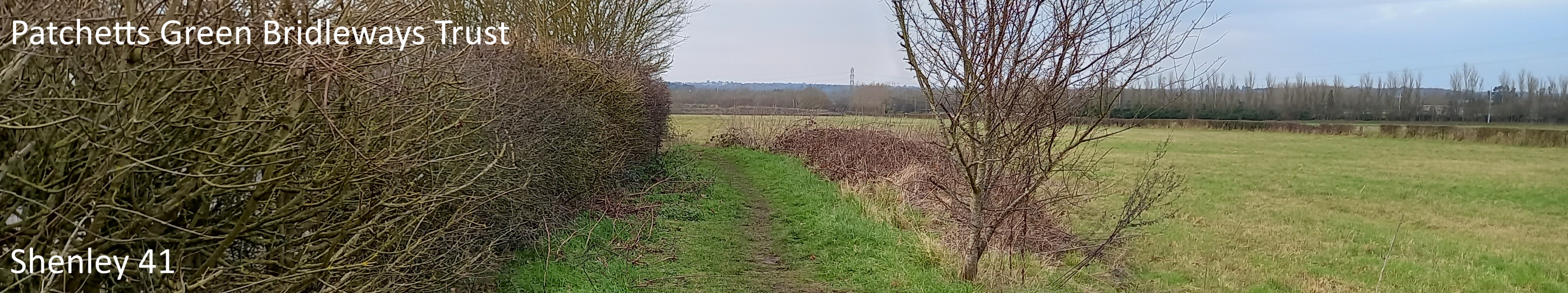 image of Shenley 41 bridleway taken in 2025 showing path with hedge on the left and open fields to the right