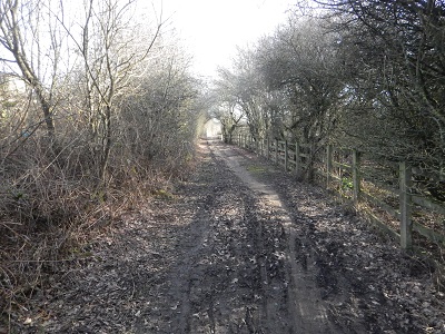 Photograph of South Mimms 71