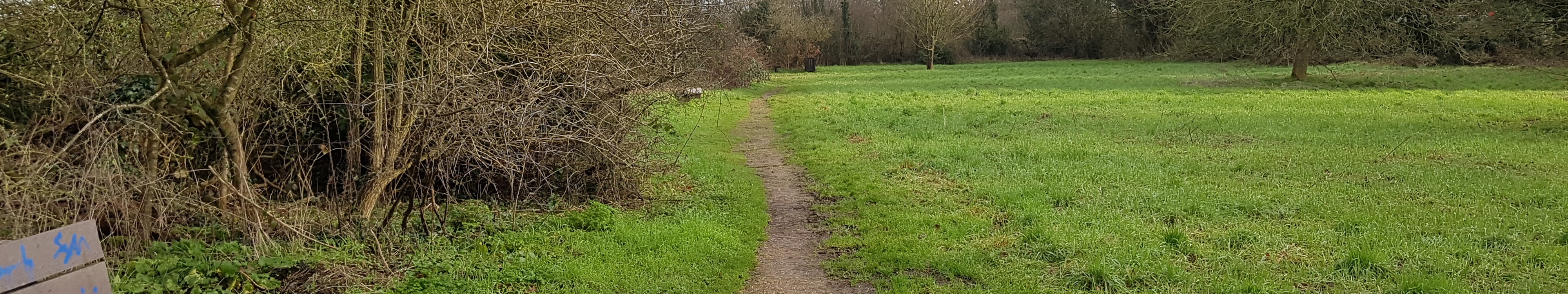 Image of South Mimms 76 bridleway taken in 2023 showing at edge of grassed park area with hedge to left