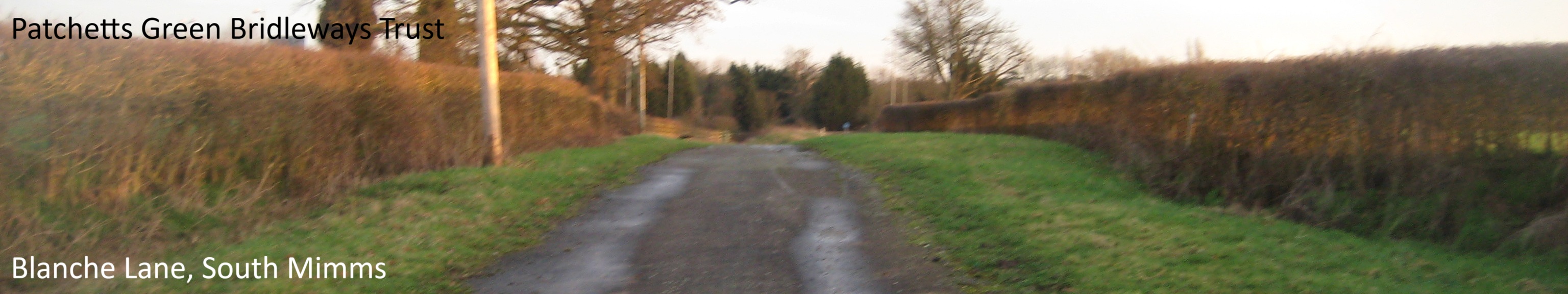 Image of Blanch Lane, taken in 2011 showing road with wide green verges either side