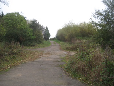 Photograph of Dyrham Lane