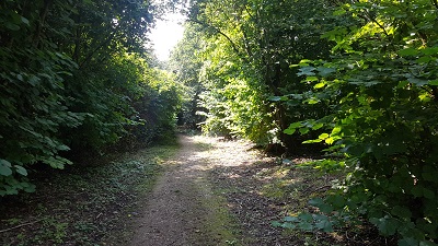 Stanstead Abbots 19
