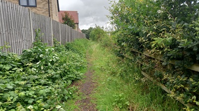 Stevenage 118 Horse and Pony Route