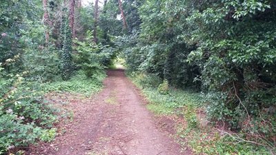 Stevenage 118 Horse and Pony Route