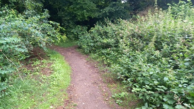 Stevenage 118 Horse and Pony Route