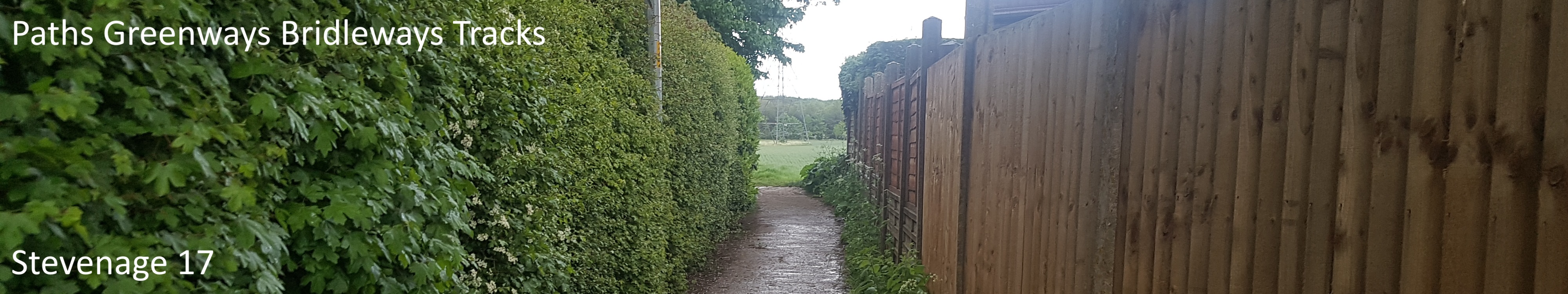 image of Stevenage 17 bridleway taken in 2021 showing path between trees and a fence