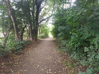 Photograph of Stevenage 67 looking west