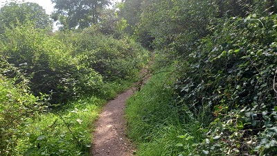 Stevenage 97 to 104 Horse and Pony Route