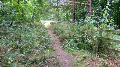 Photograph of Stevenage path