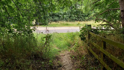 Photograph of Stevenage path