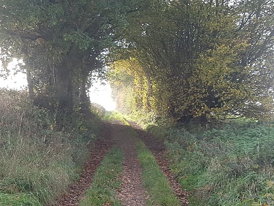 Photograph of Shacklegate Lane