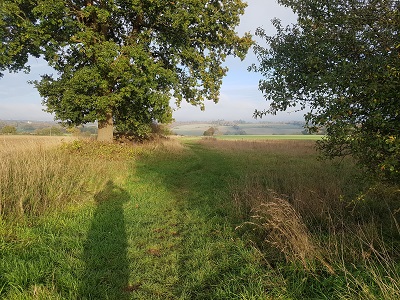 Photograph of Shacklegate Lane