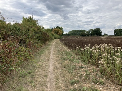 Photograph of St Stephen 2 bridleway