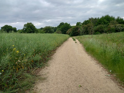 Photograph of Lime Way route