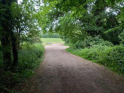 Photograph of Lime Way route