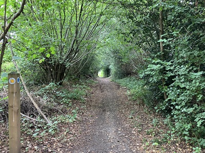 Photograph of Milhouse Lane, Bedmond